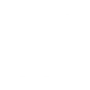 Custom Logo