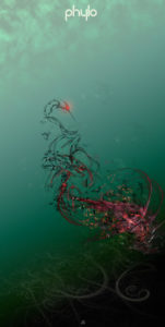 PhyloPlant